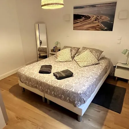 Apartment Duplex Avec Terrasses + Parking - St Nicolas Bordeaux